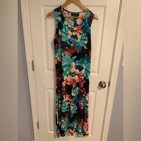 SIZE MEDIUM Petite NWOT Attitudes By Renee Sleeveless Full Length Electric Dress - Picture 1 of 7